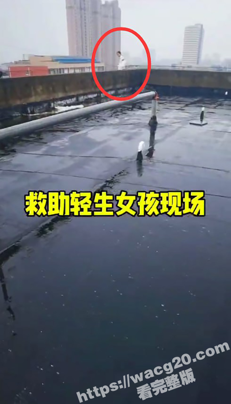 江苏女孩跳楼轻生幸被相关图片