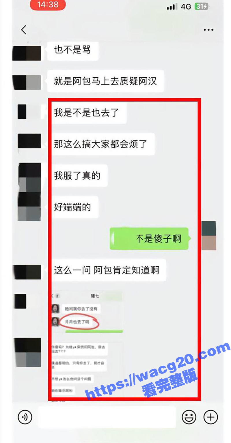 网红猪七777控诉渣相关图片