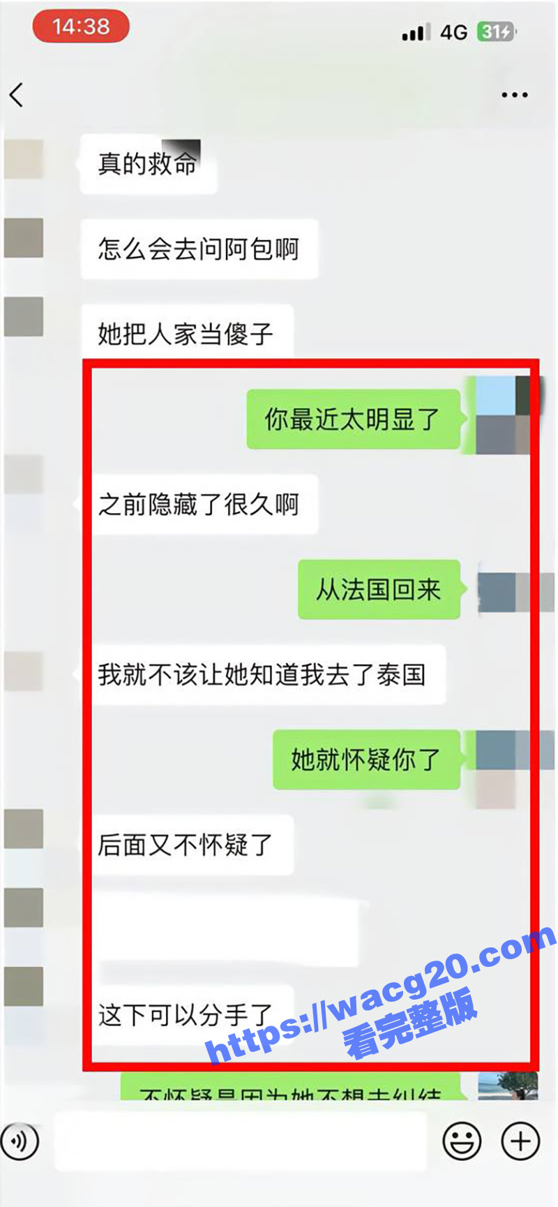 网红猪七777控诉渣相关图片