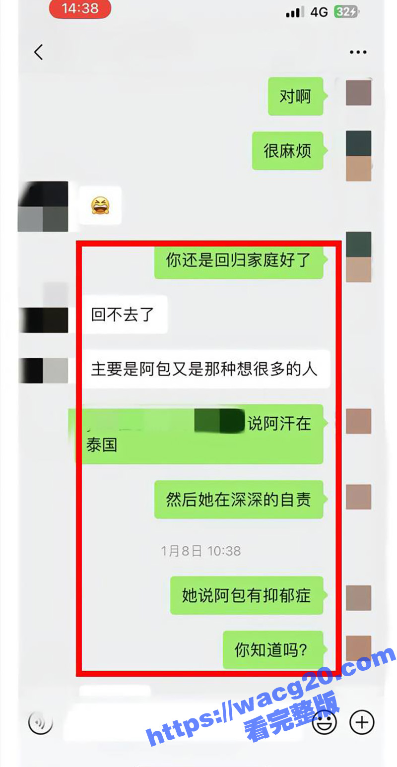 网红猪七777控诉渣相关图片
