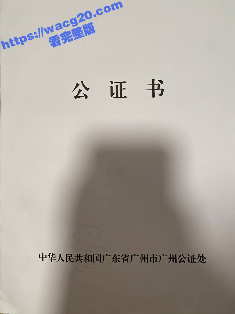 网红猪七777控诉渣相关图片