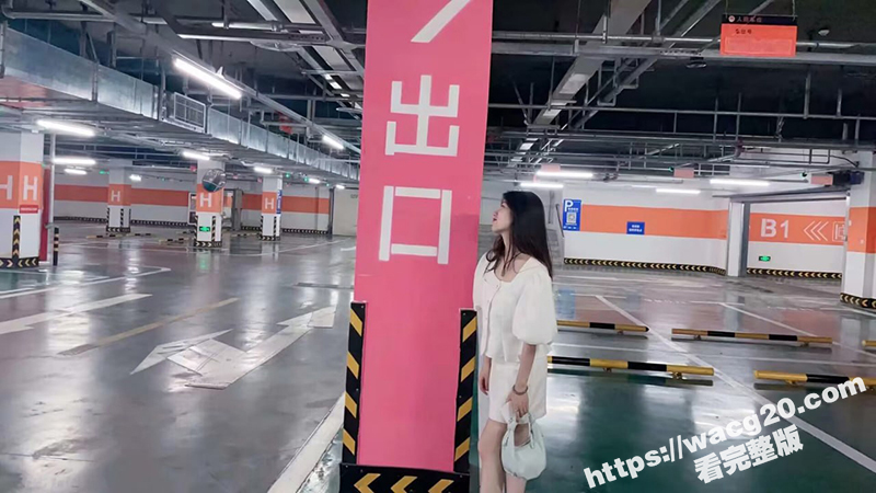 欲求不满的新婚小少妇 背着老公微信摇一摇约炮 身穿性感情趣装被无套内射