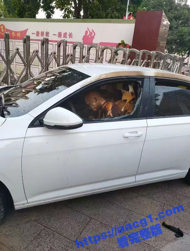 福建漳州云霄县惊现疯相关图片