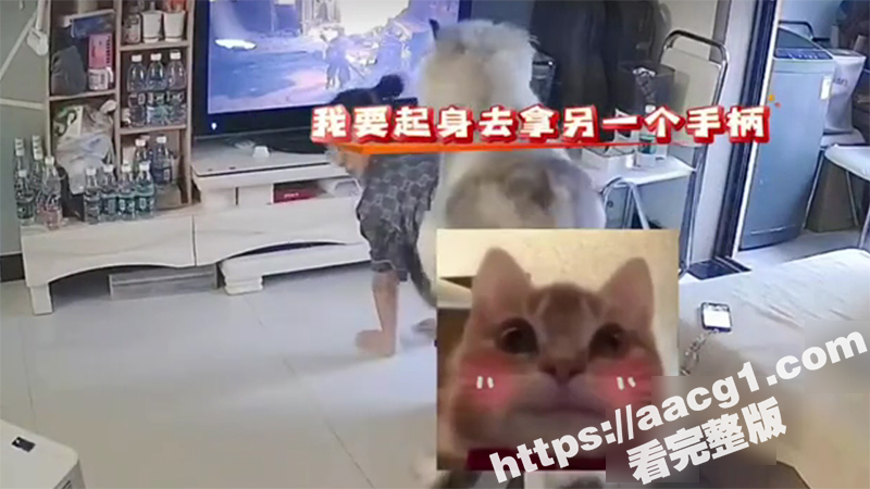 你想日妈妈？我把你当相关图片
