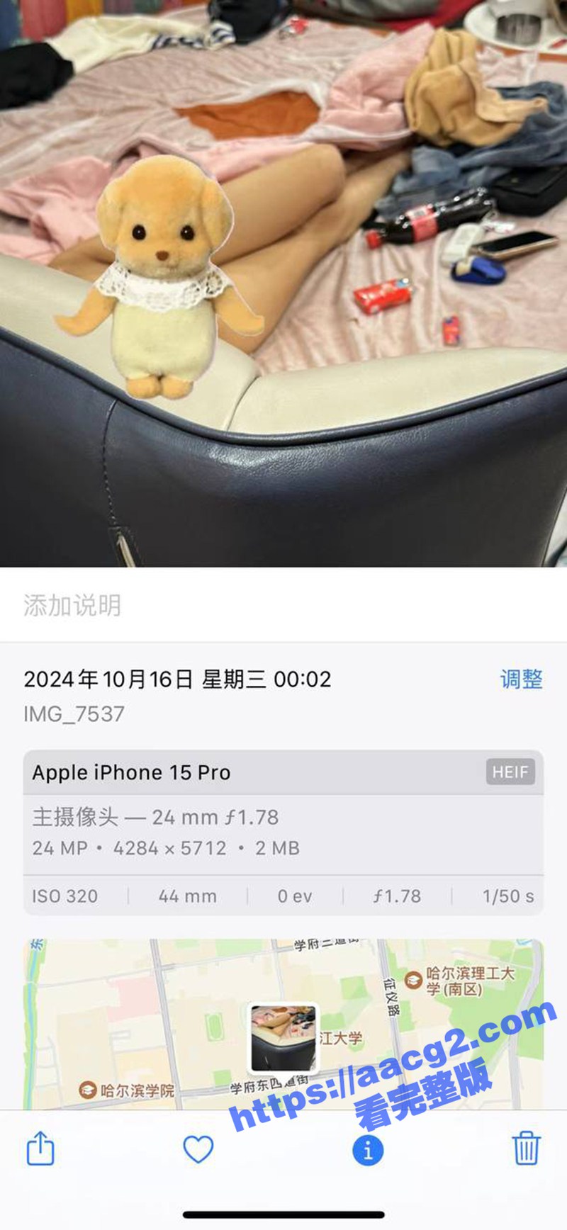东北炮王国庆20天疯相关图片