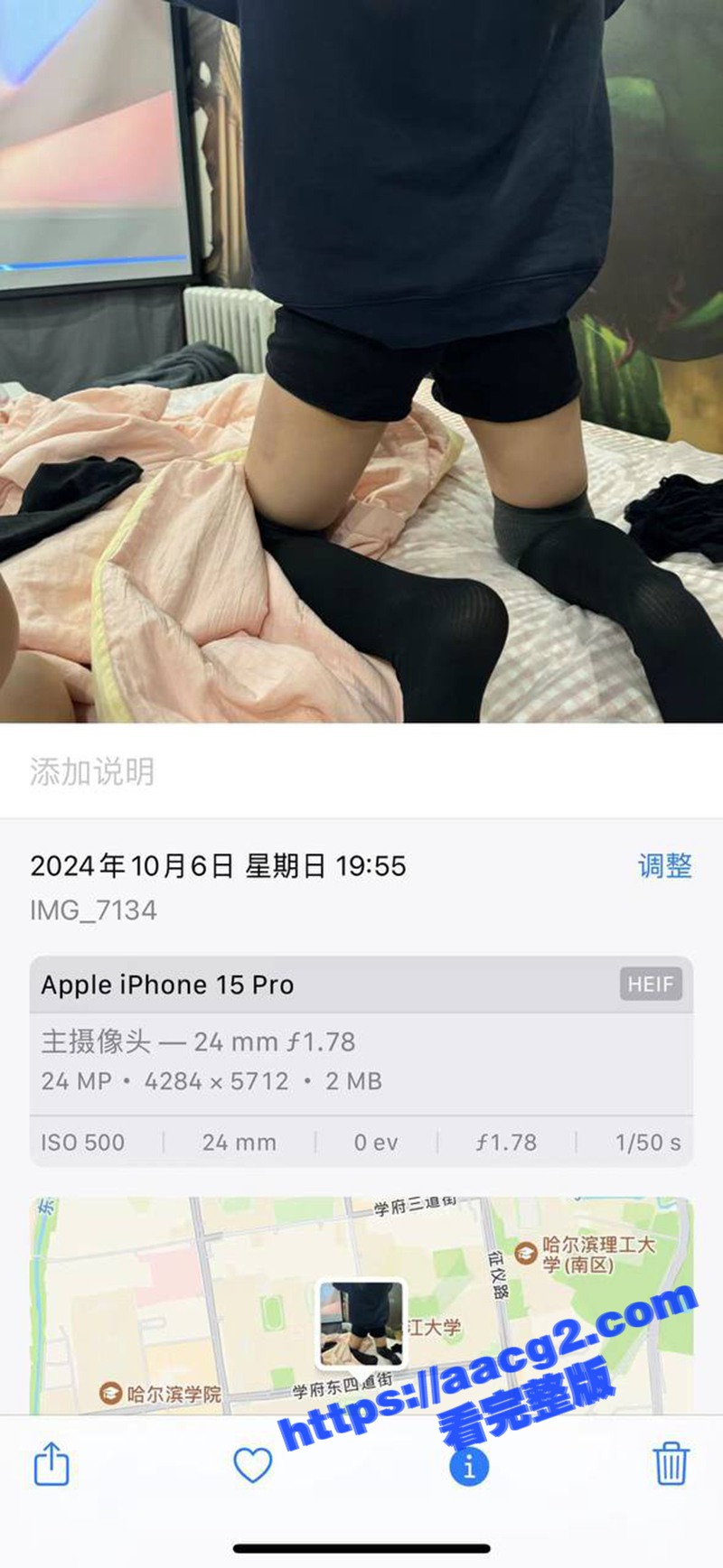 东北炮王国庆20天疯相关图片