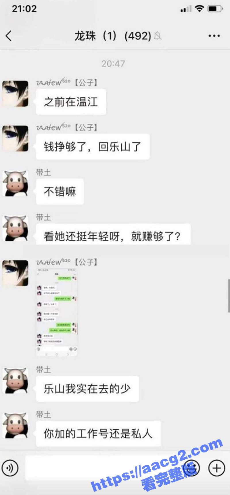 四川乐山靓妹卖淫致富相关图片