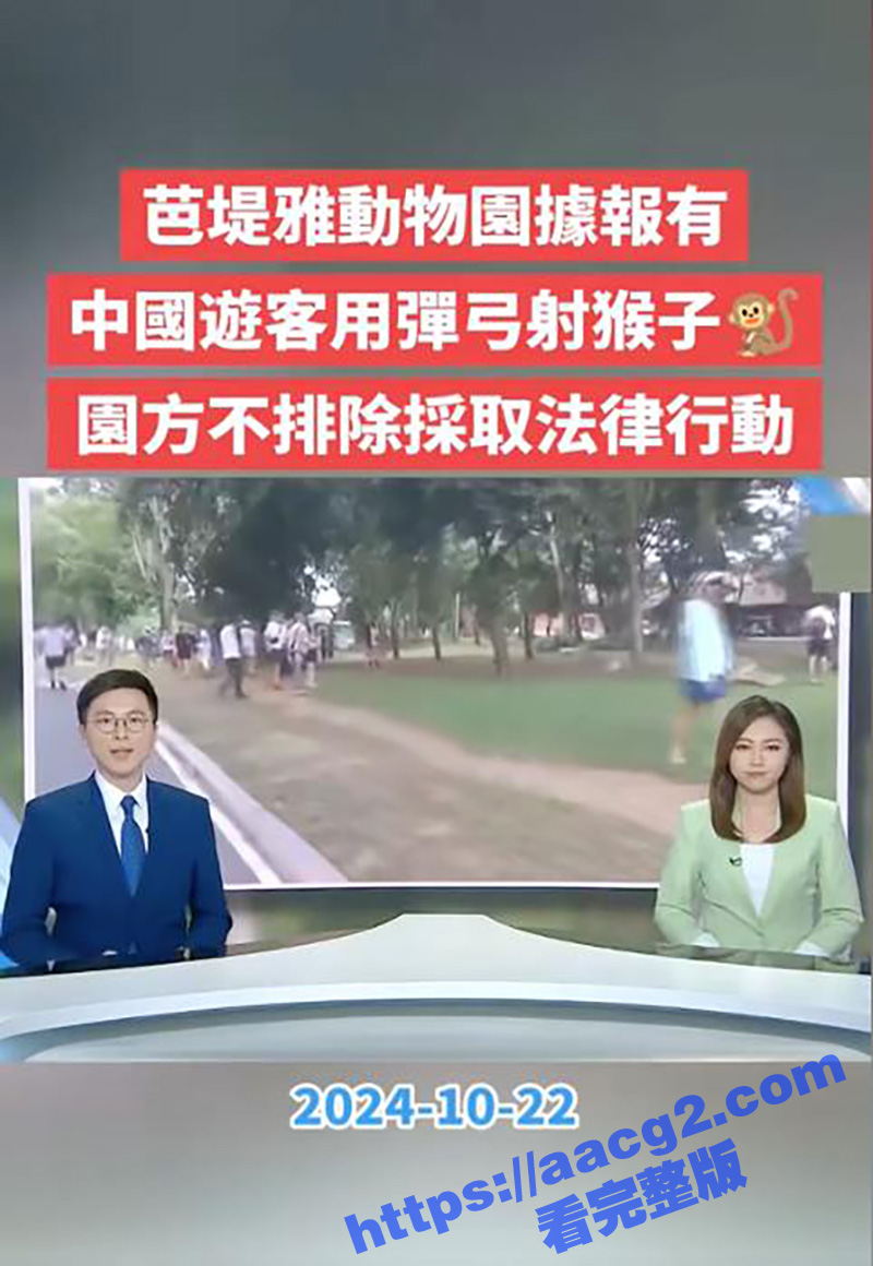 T0小仙女泰国丢人 动物园用弹弓打猴 事件霸占泰国热搜 无法无天到国外了 或将面临法律制裁