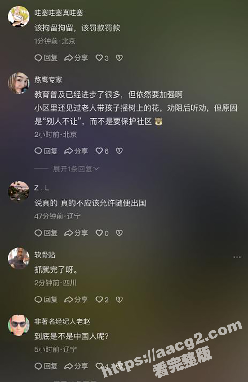 T0小仙女泰国丢人 相关图片