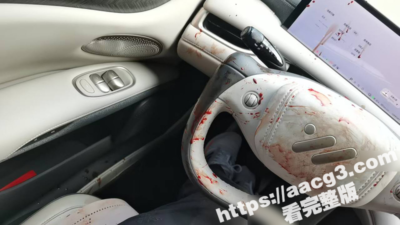 瓜友刚买的上汽智己新相关图片