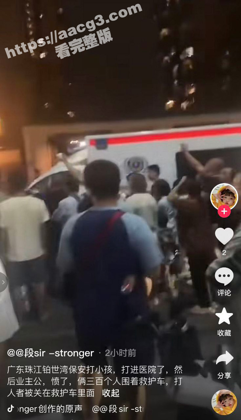 广东珠江铂世湾保安殴相关图片