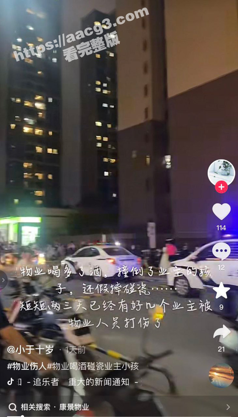 广东珠江铂世湾保安殴相关图片