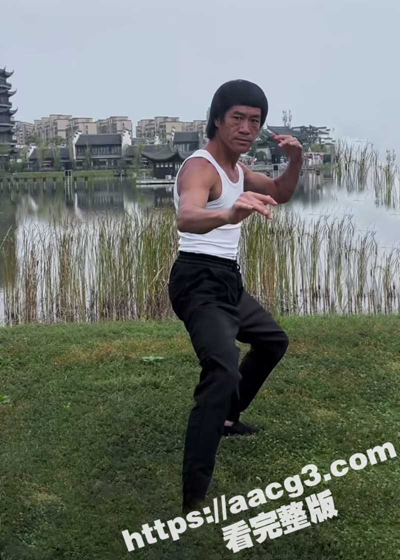 李小龙模仿者在模仿秀相关图片