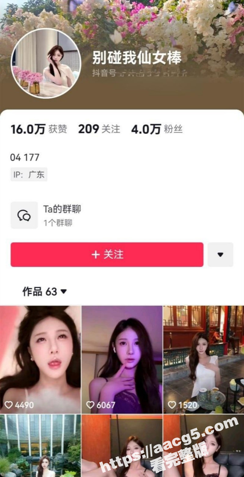 抖音TS网红别碰我仙相关图片