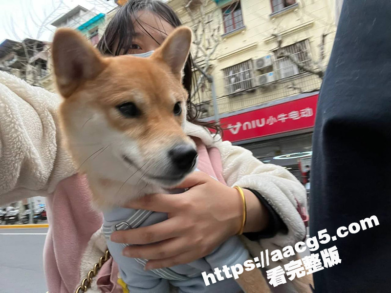 脱口秀演员 邱瑞 约相关图片