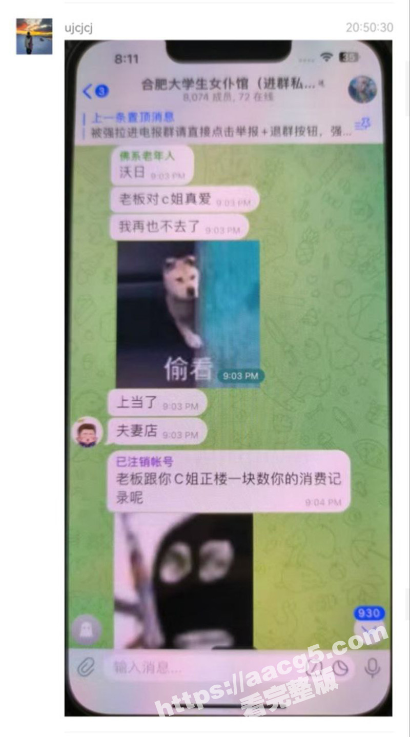 合肥三十八中北校女教相关图片