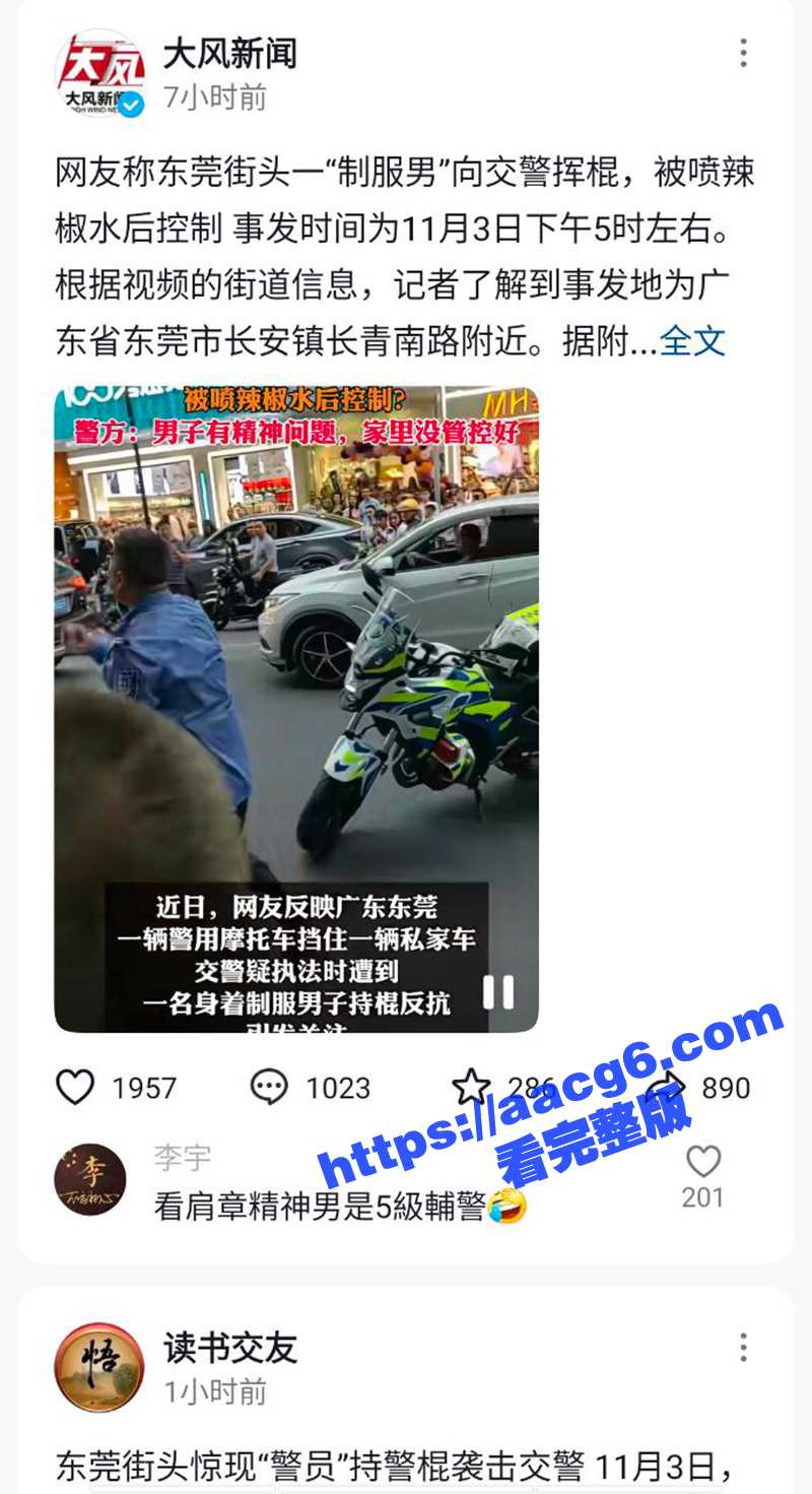 东莞长安街头交警PK公安 假公安师传马保国 闪电五连棍 打的交警节节败退！