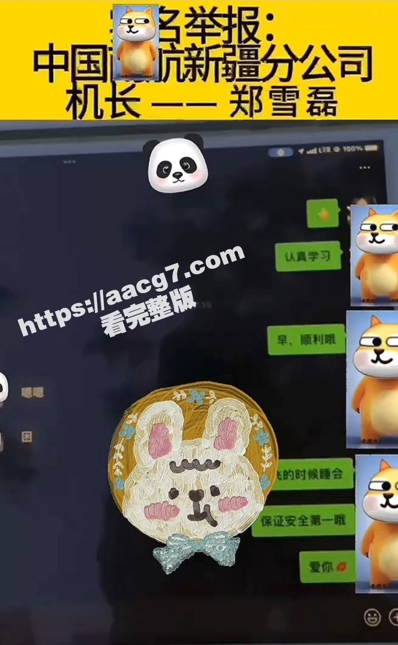 南航新疆分公司机长郑相关图片