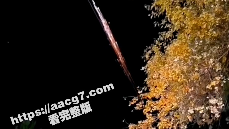 神舟十八号载人飞船返回舱成功着陆 载人飞行任务取得圆满成功！