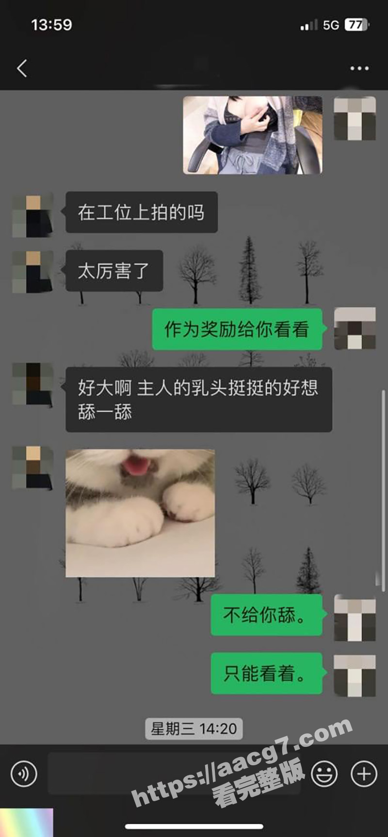 人妻教师 晨夕 被老相关图片