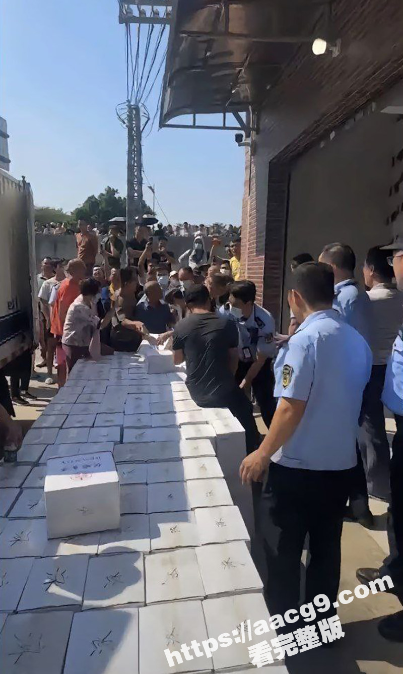 抖音怂仔不怂了 店里相关图片