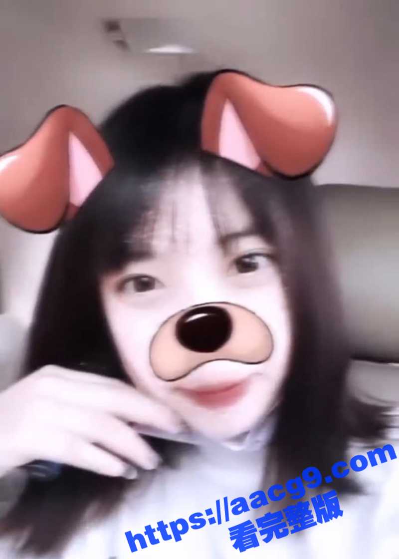 台湾新竹高颜值小只马相关图片