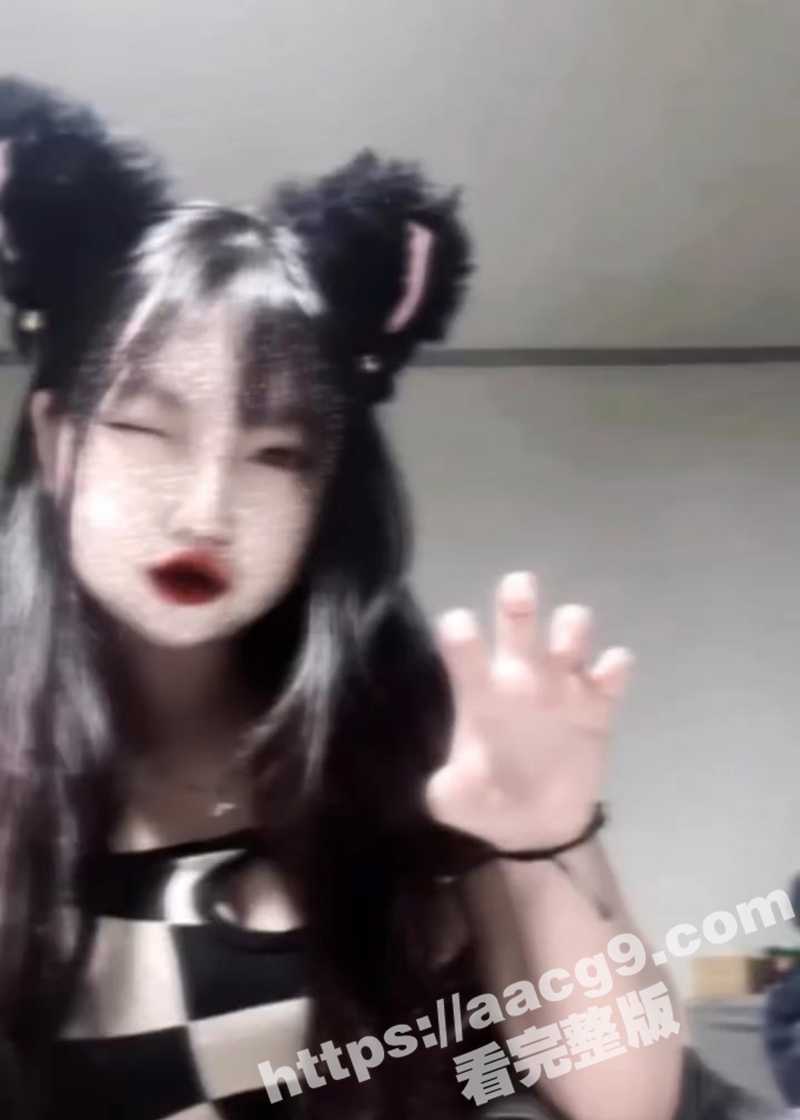台湾新竹高颜值小只马相关图片