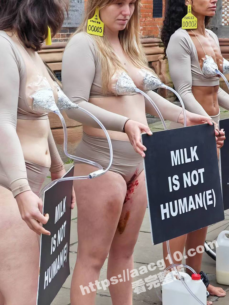 英国女权运动抗议牛奶相关图片