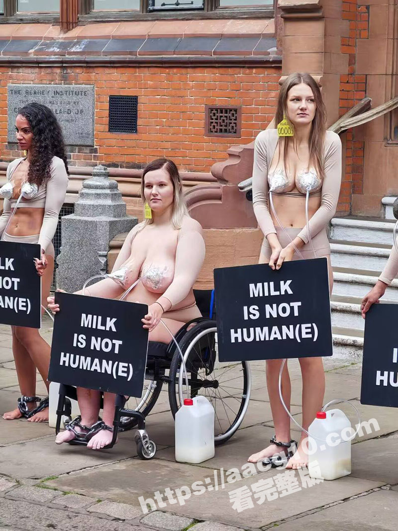 英国女权运动抗议牛奶相关图片