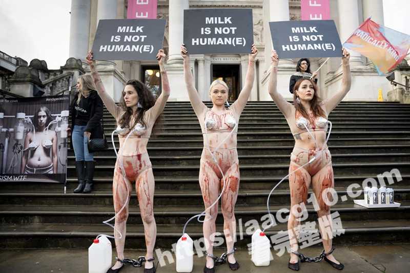 英国女权运动抗议牛奶相关图片