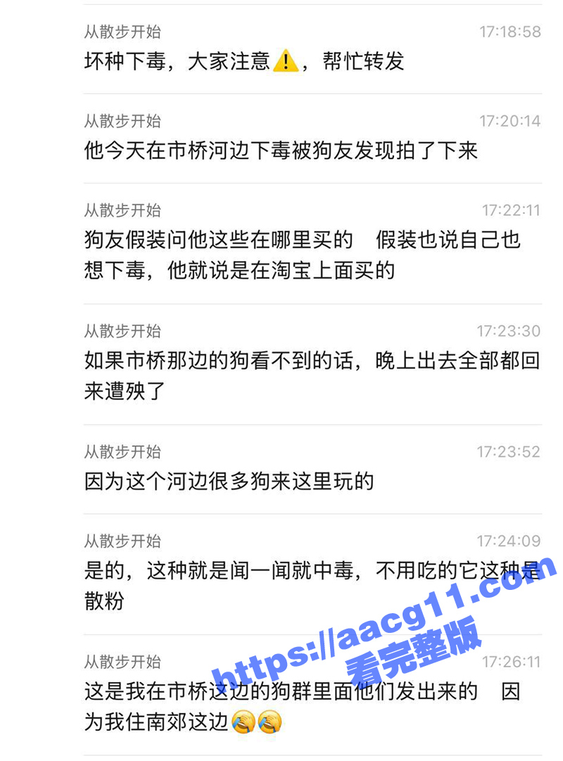 广州市番禺区德兴大桥相关图片