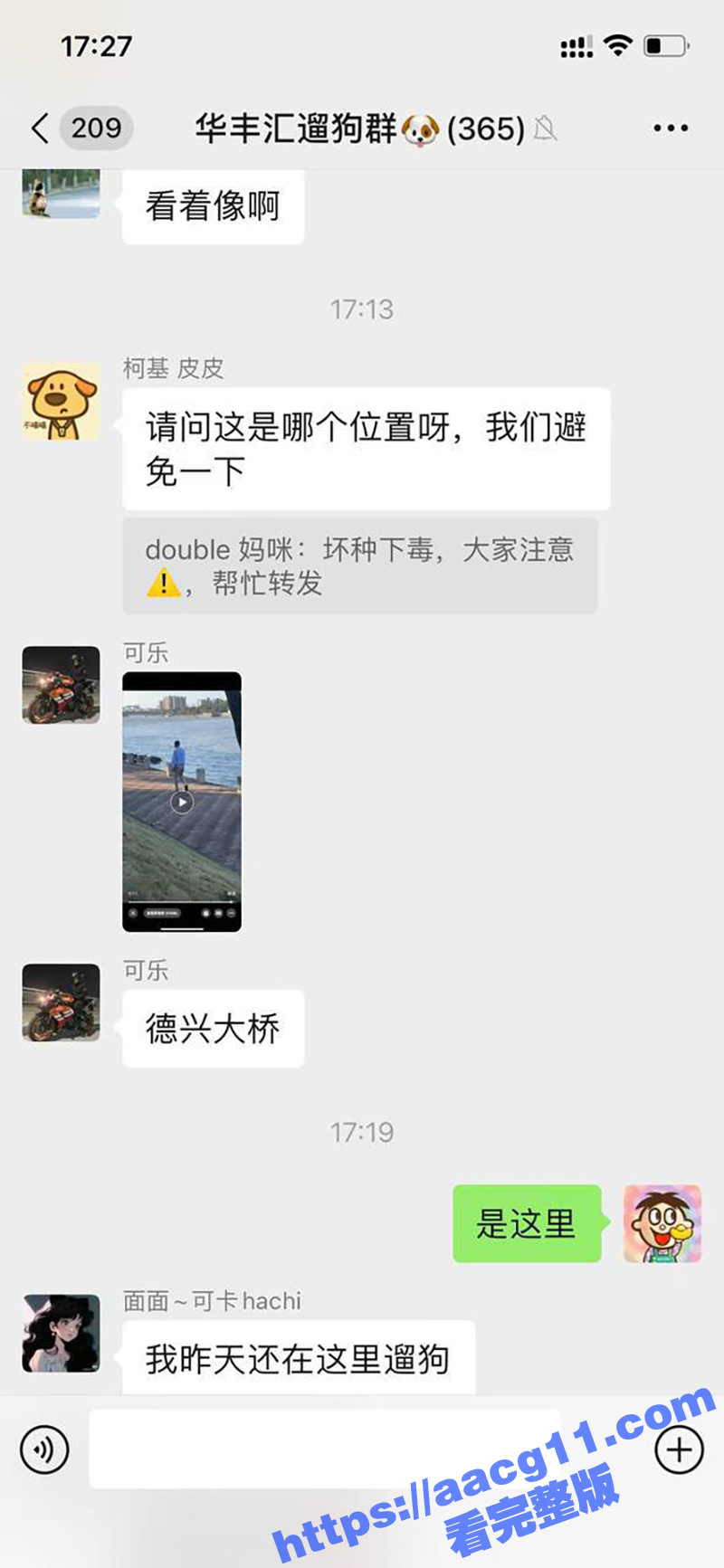 广州市番禺区德兴大桥相关图片