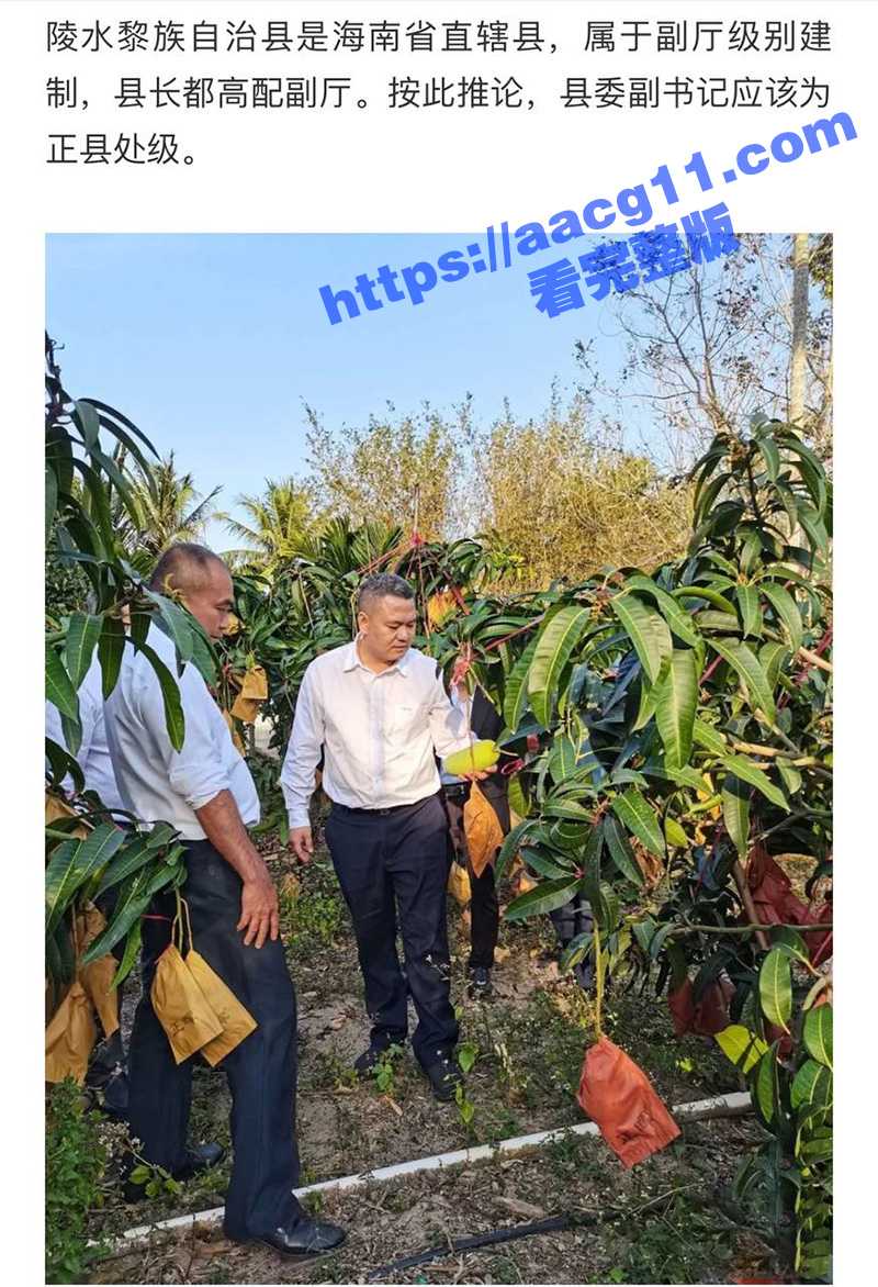 海南陵水县委副书记肖相关图片