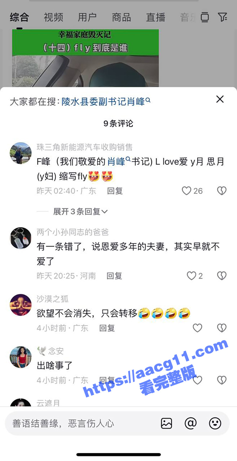 海南陵水县委副书记肖相关图片