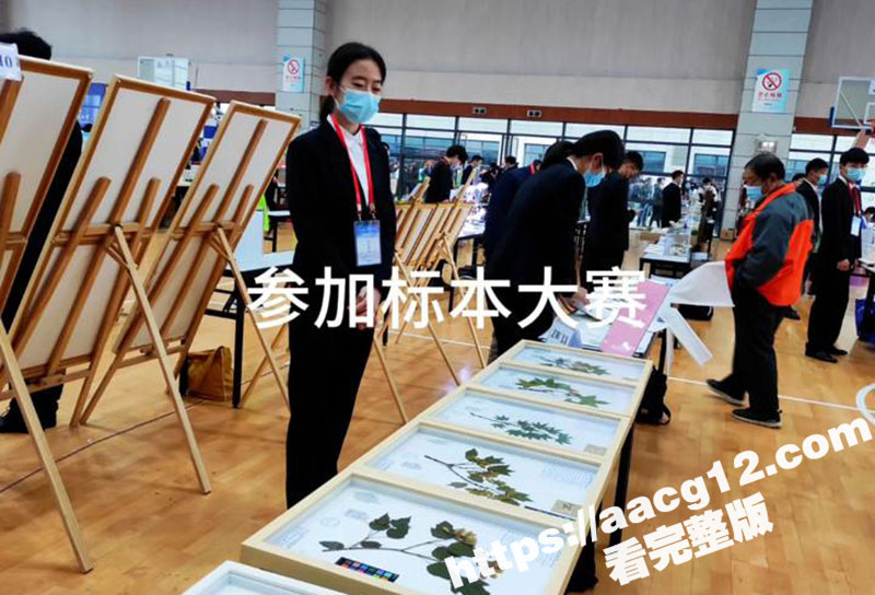 上海顶级反差婊 嘉娜相关图片