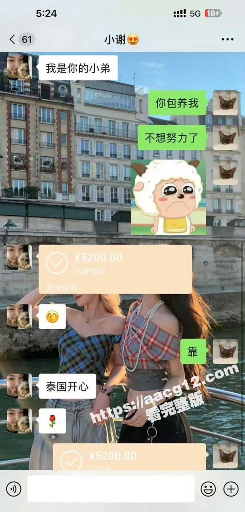 抖音500W粉丝网红相关图片