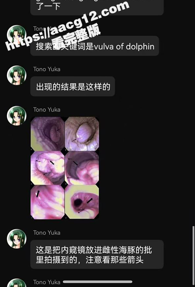 贴吧变态驯兽员玩兽交相关图片