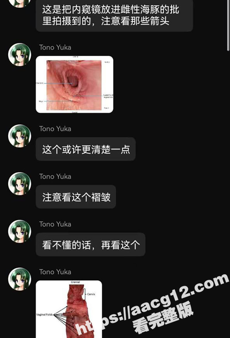 贴吧变态驯兽员玩兽交相关图片