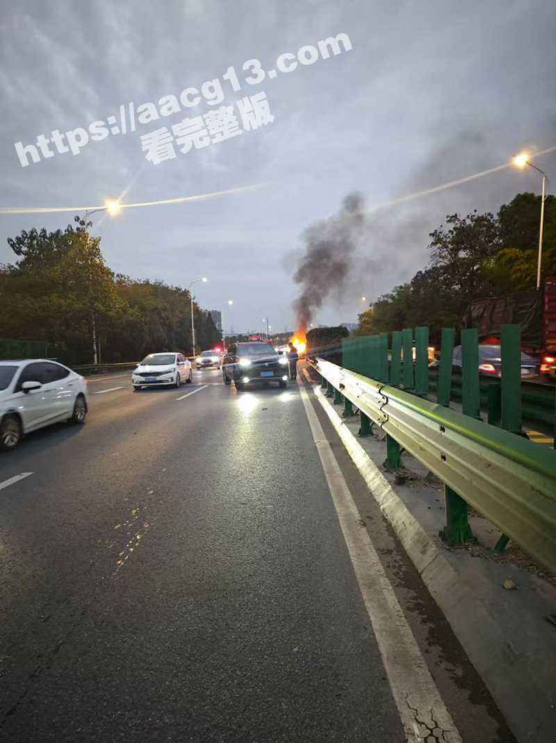江西省九江市第一辆紫相关图片