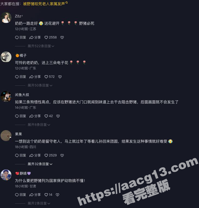陕西岚皋野猪伤人事件相关图片