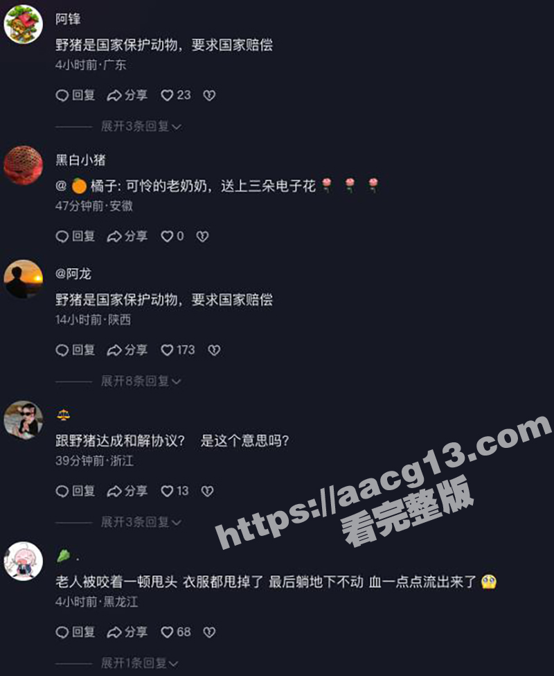 陕西岚皋野猪伤人事件相关图片