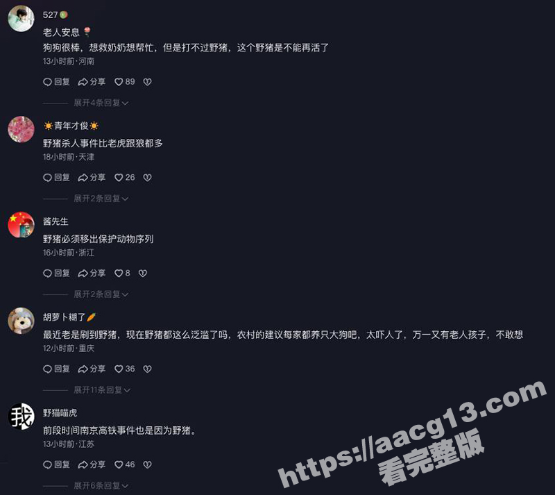 陕西岚皋野猪伤人事件相关图片