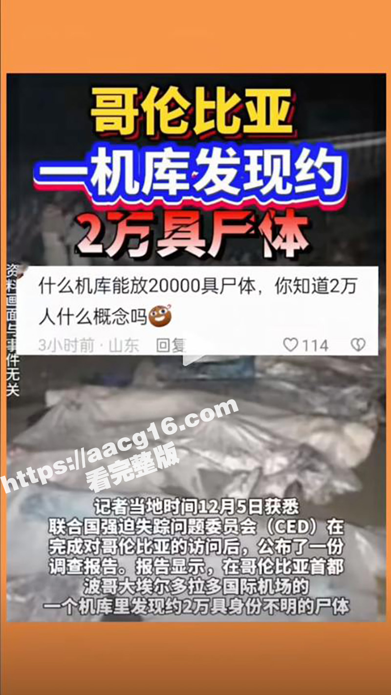 哥伦比亚机库发现2万相关图片