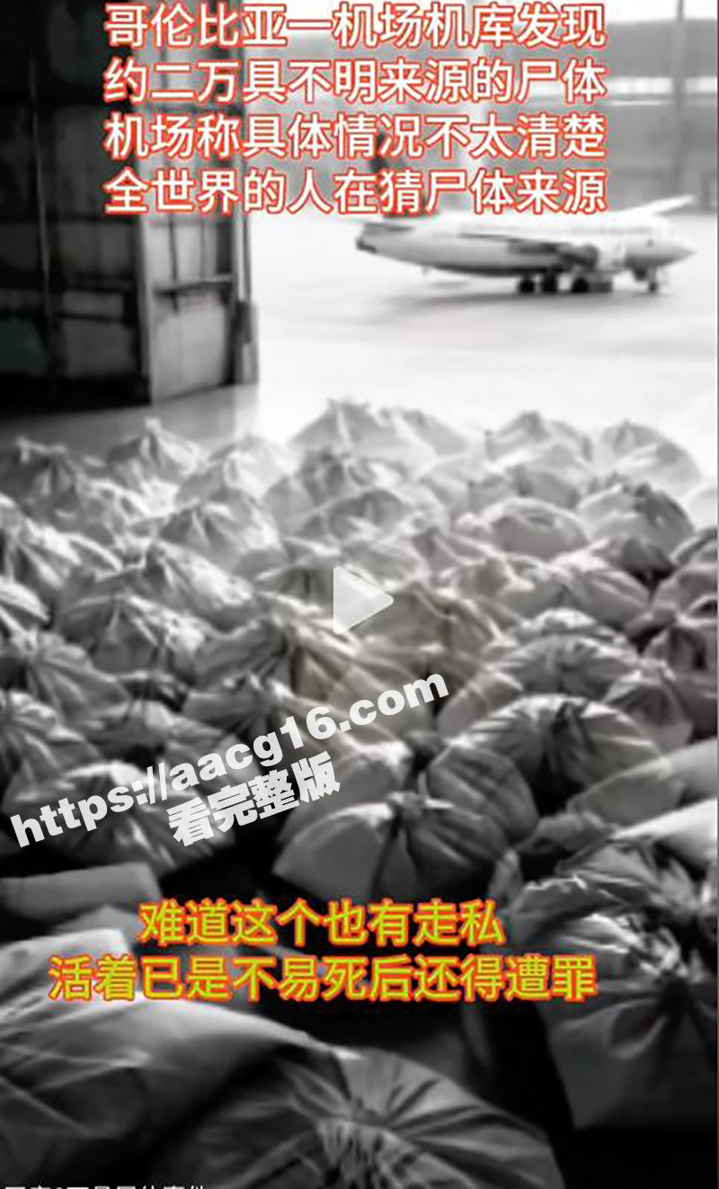 哥伦比亚机库发现2万相关图片