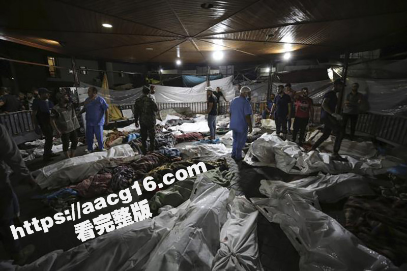 哥伦比亚机库发现2万相关图片