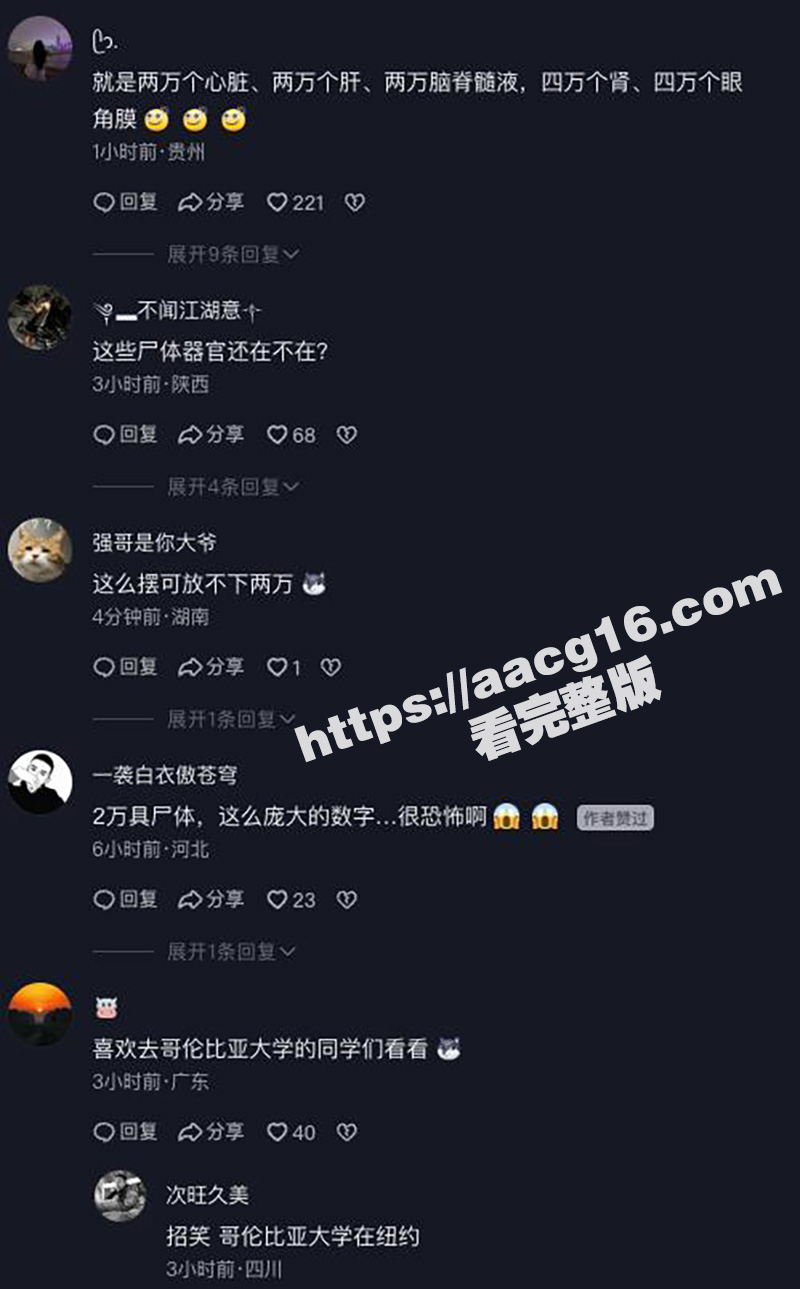 哥伦比亚机库发现2万相关图片