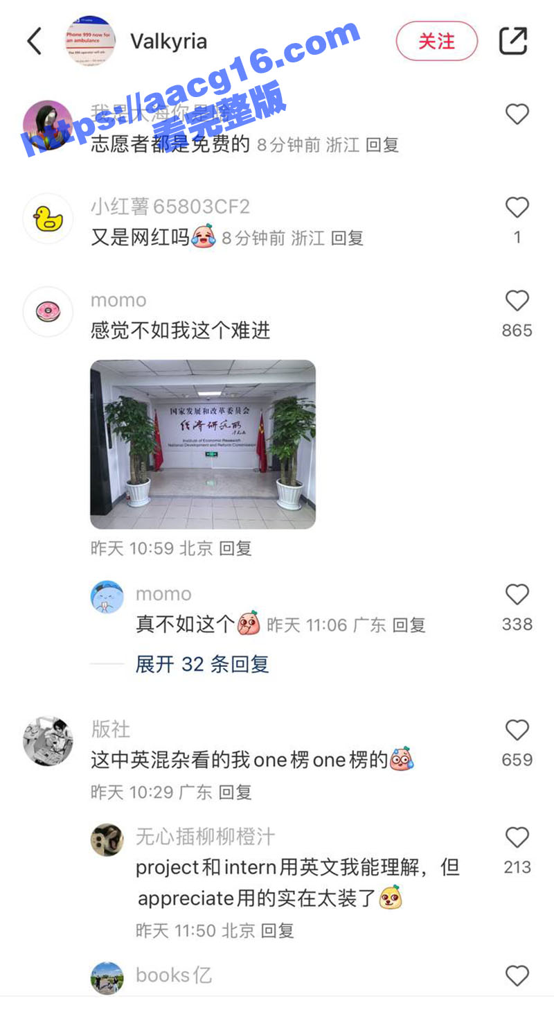 各路网红纷纷扎堆联合相关图片