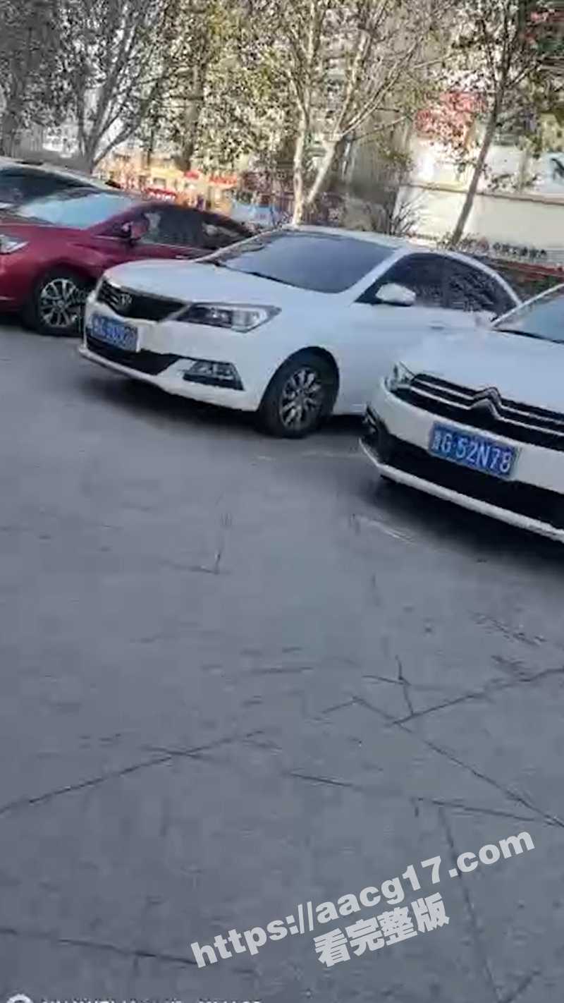 山东褚城 王茜 在大相关图片