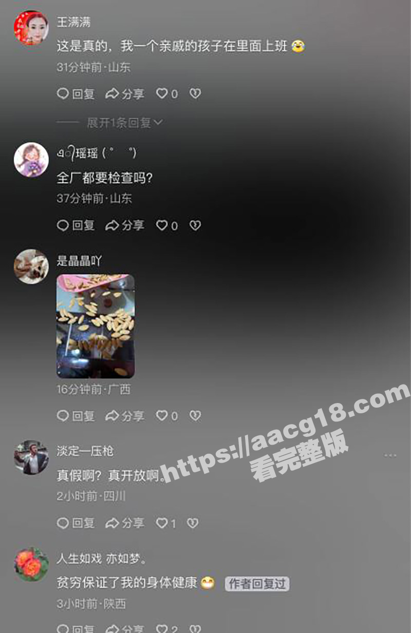 东营利津县利华益大瓜相关图片