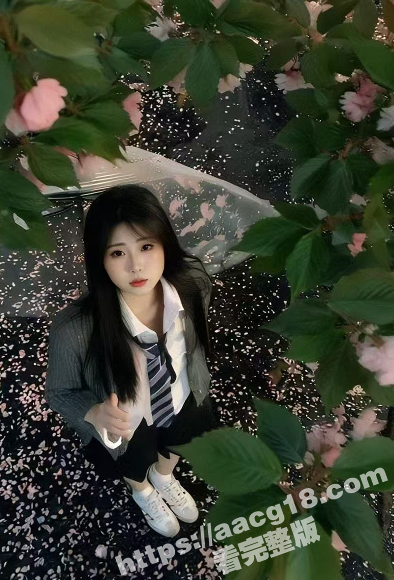 超美淫模 爱玩熊 旗相关图片